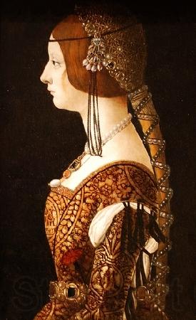 FIGINO, Giovanni Ambrogio Blanca Maria Sforza Germany oil painting art
